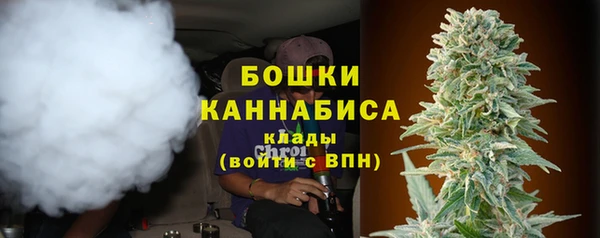 гашик Тобольск