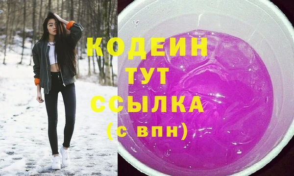гашик Тобольск