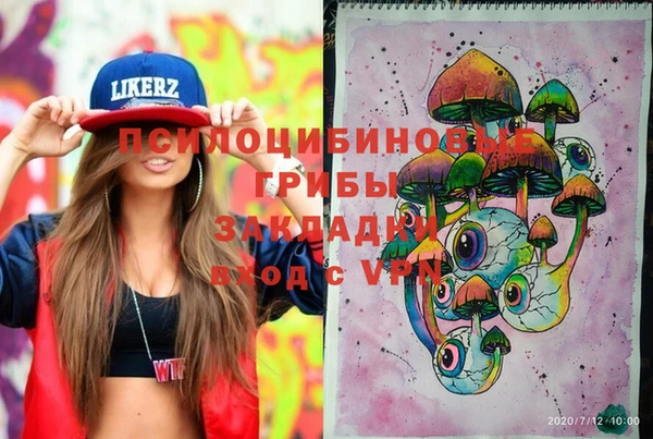 гашик Тобольск