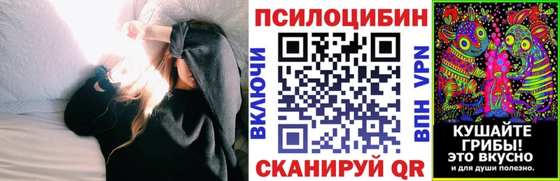 ОМГ ОМГ ONION  цены наркотик  Павлово  Псилоцибиновые грибы Psilocybe 