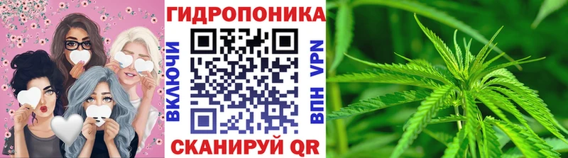 где найти наркотики  Павлово  Канабис семена 